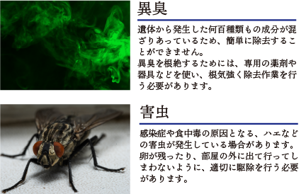 異臭 害虫